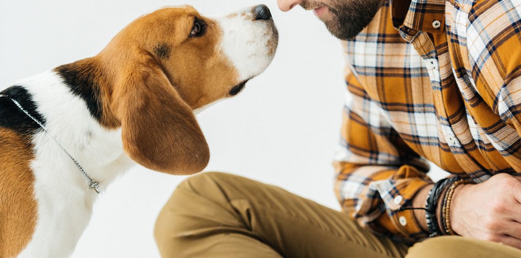 Dogs Can Smell Body Odor