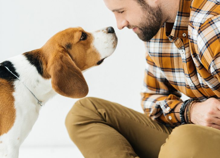 Dogs Can Smell Body Odor