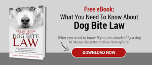dog bite law