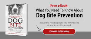 dog bite prevention 