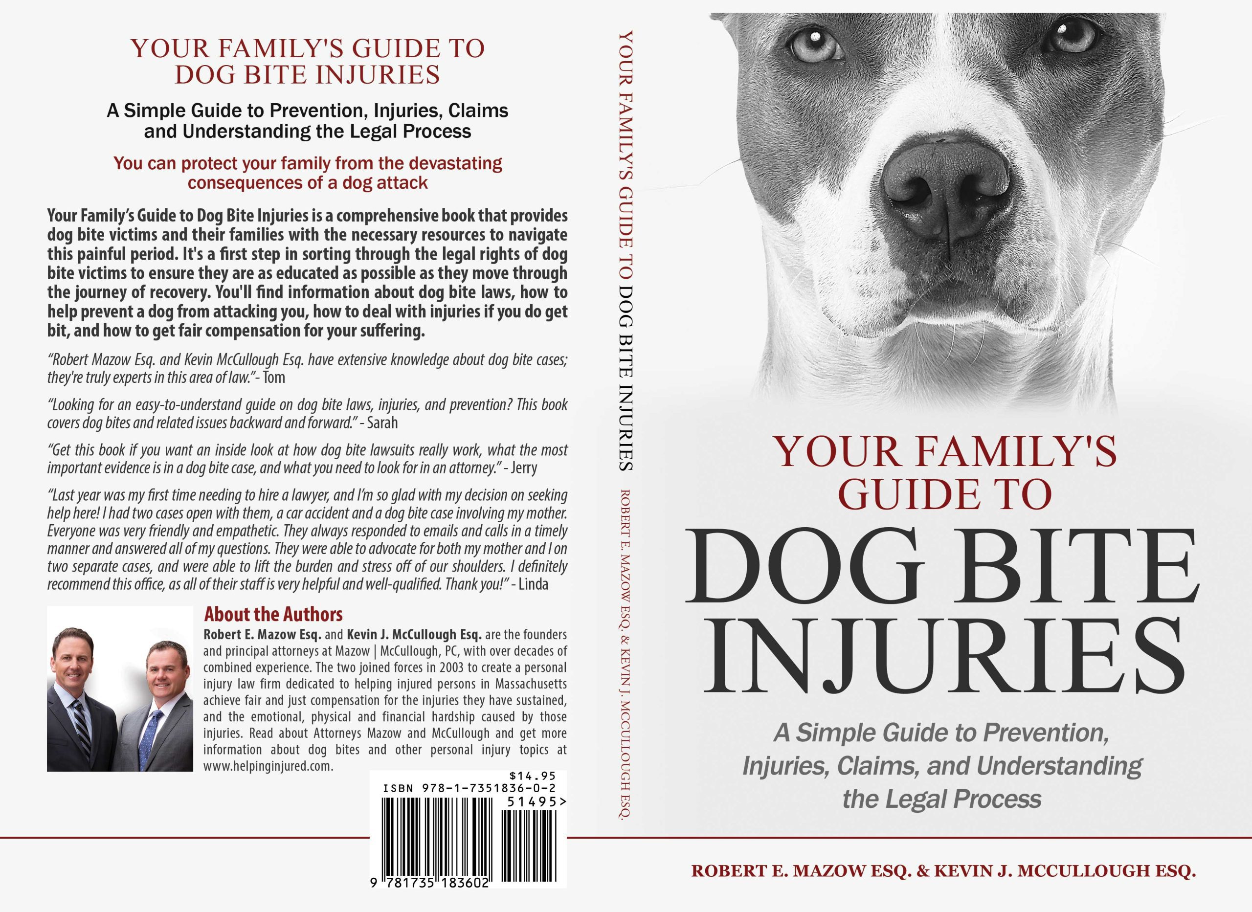 A Simple Guide to Prevention, Injuries, Claims, and Understanding the Legal Process Image